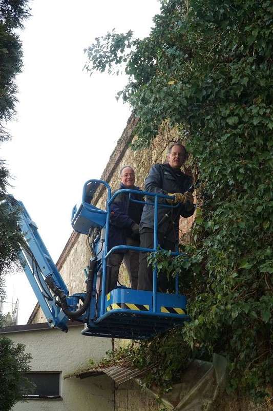 k Werk XXIV Efeu Entfernung Pionierstr 11 02 2017 220